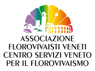 Logo - centro servizi