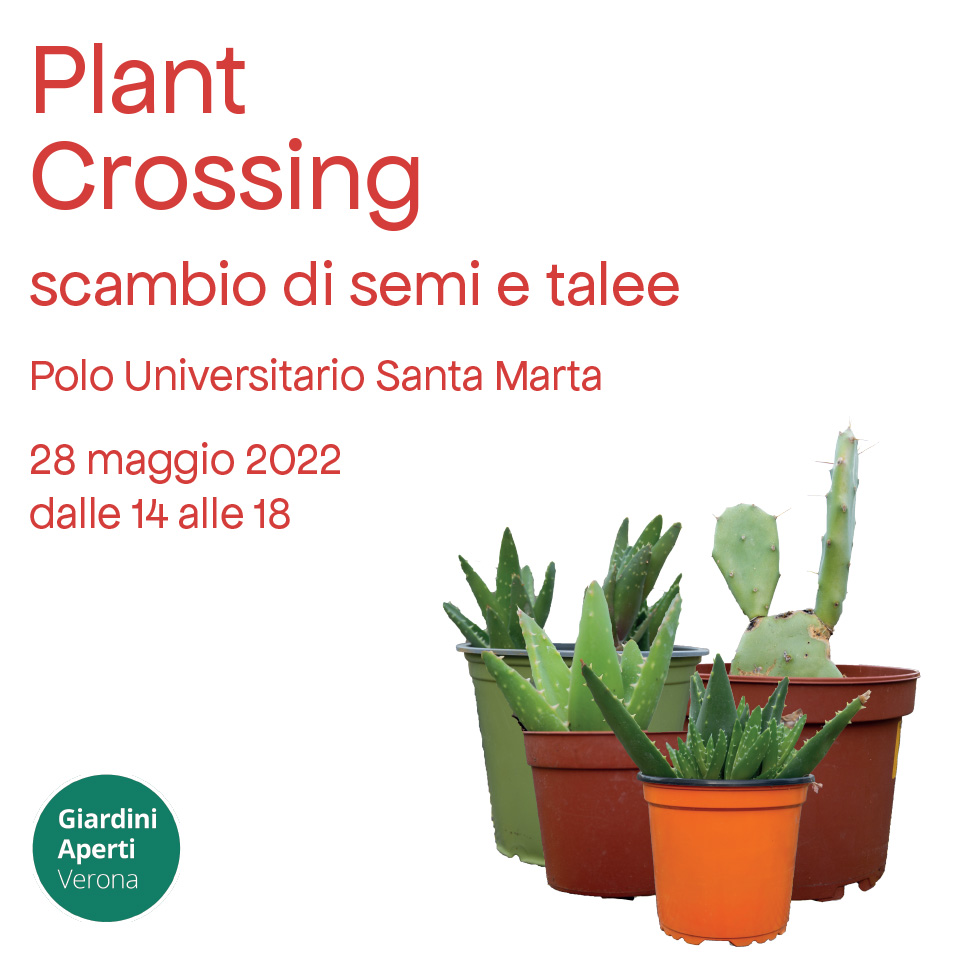 Plant Crossing
