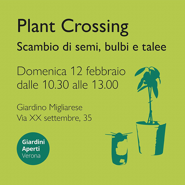 Plamt Crossing 2023 - Giardini Aperti Verona