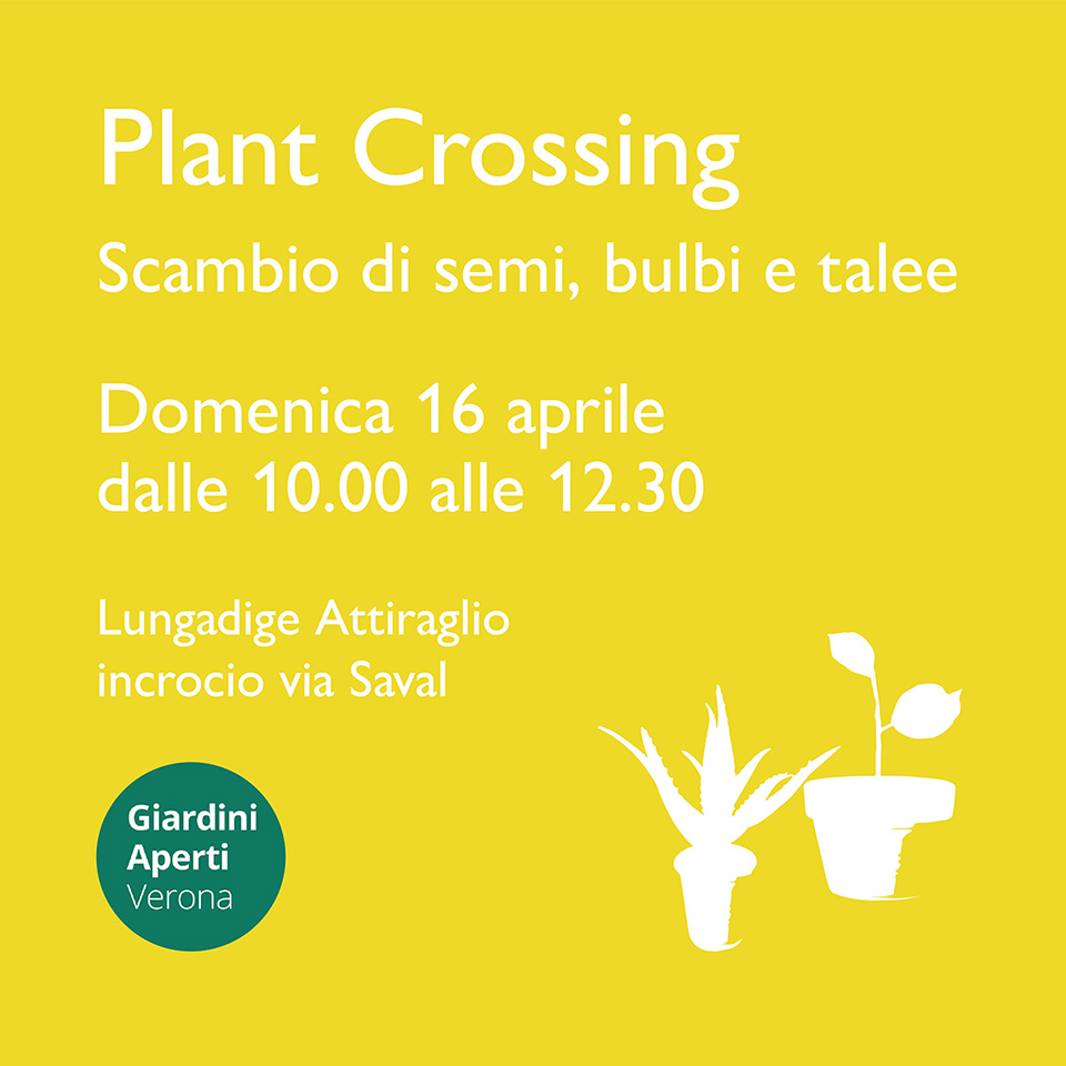Plant Crossing - 16 aprile 2023